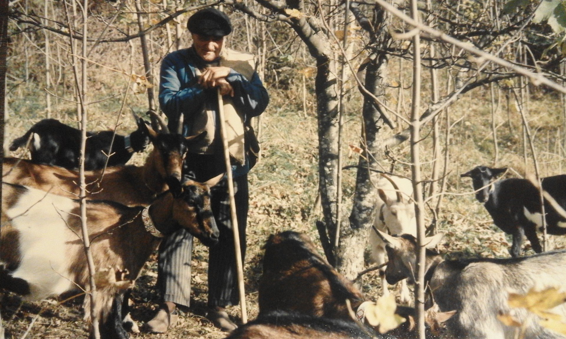 Aimé de CASTIROU....Le Pladit...GESTIES...dans les années 1980...