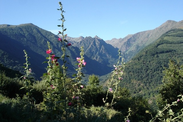 Vallée du Bouychet depuis Gestiès