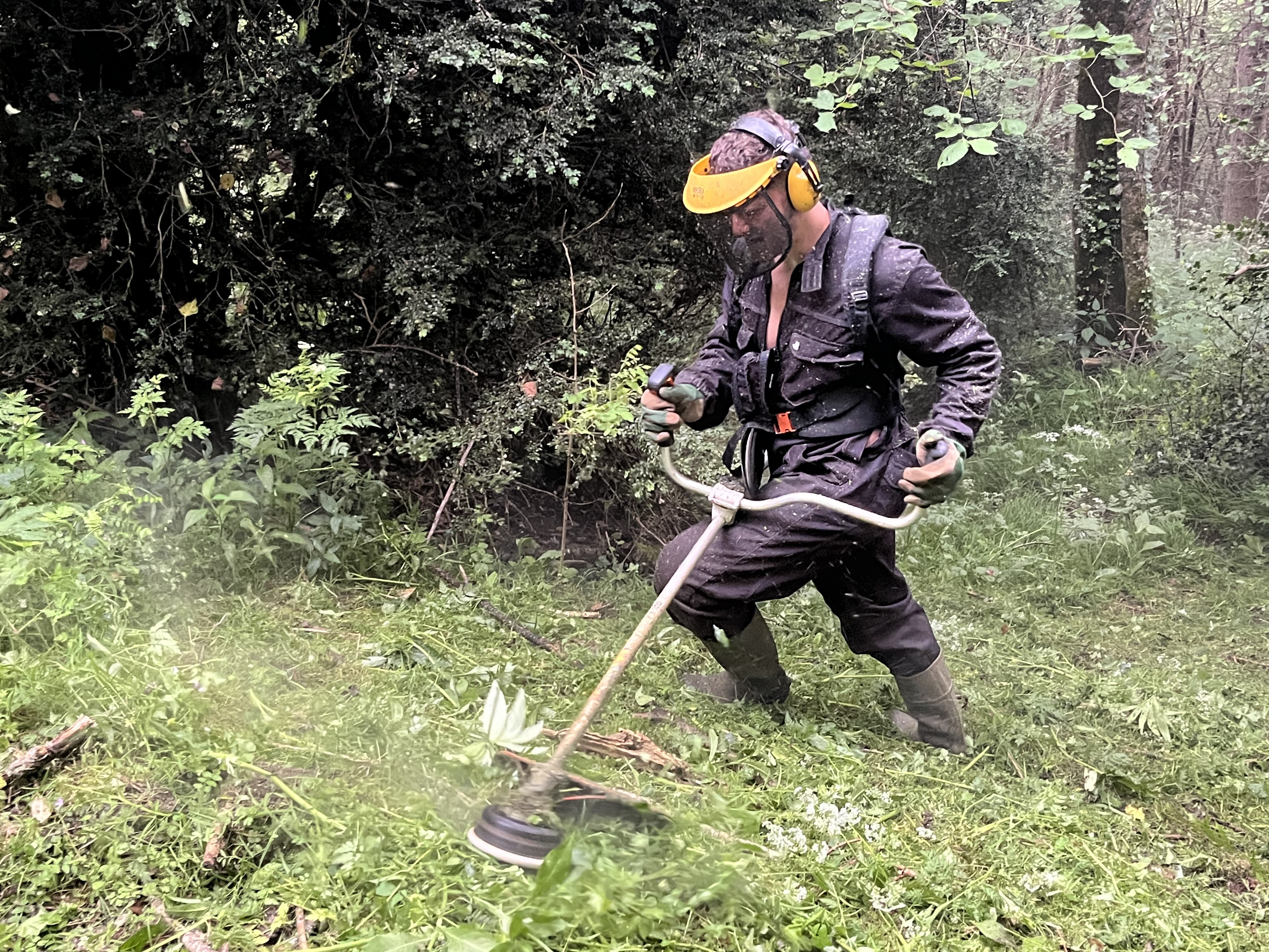 Entretien du village 22-29 mai 2022