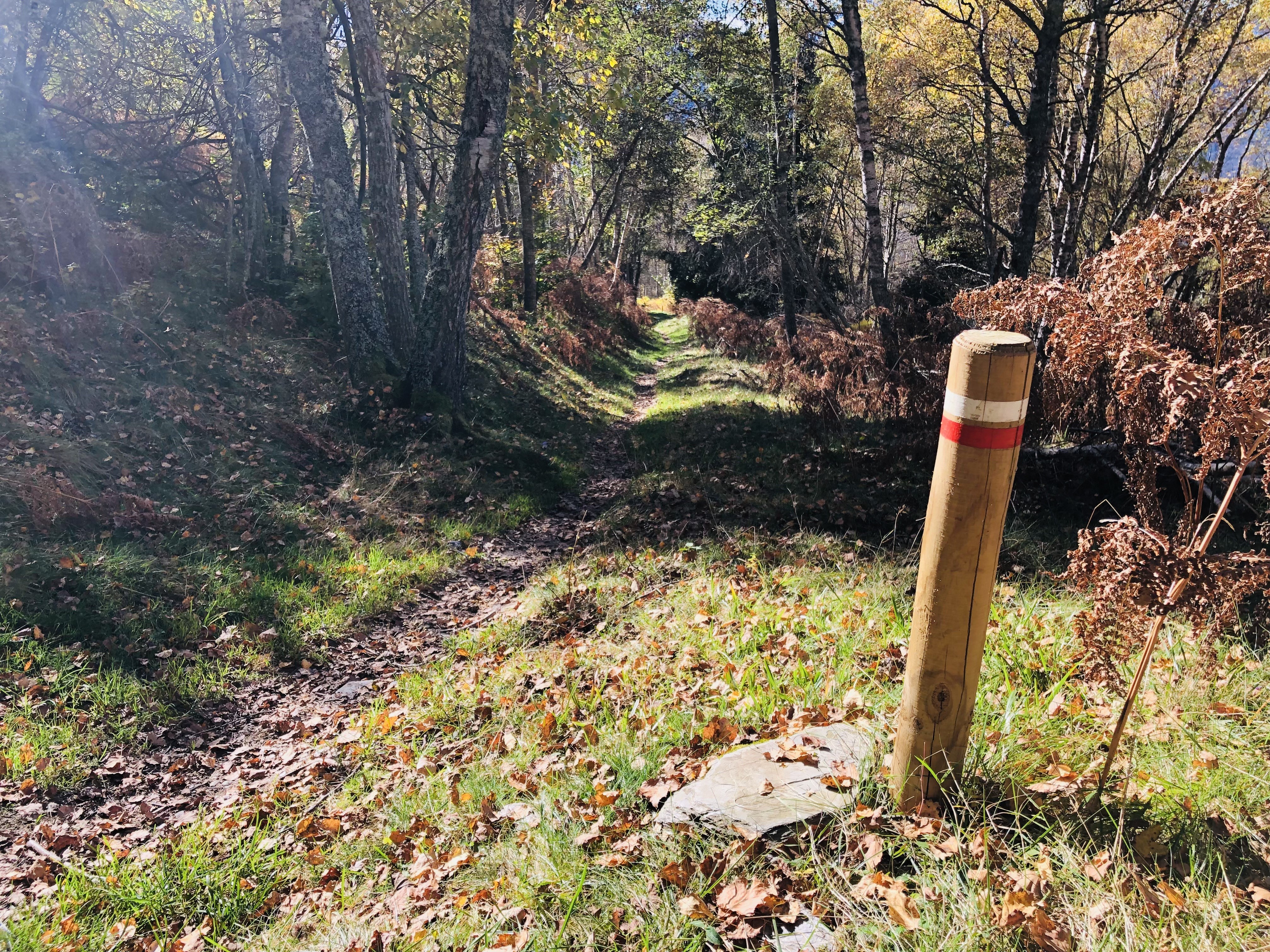 Paysage d'automne