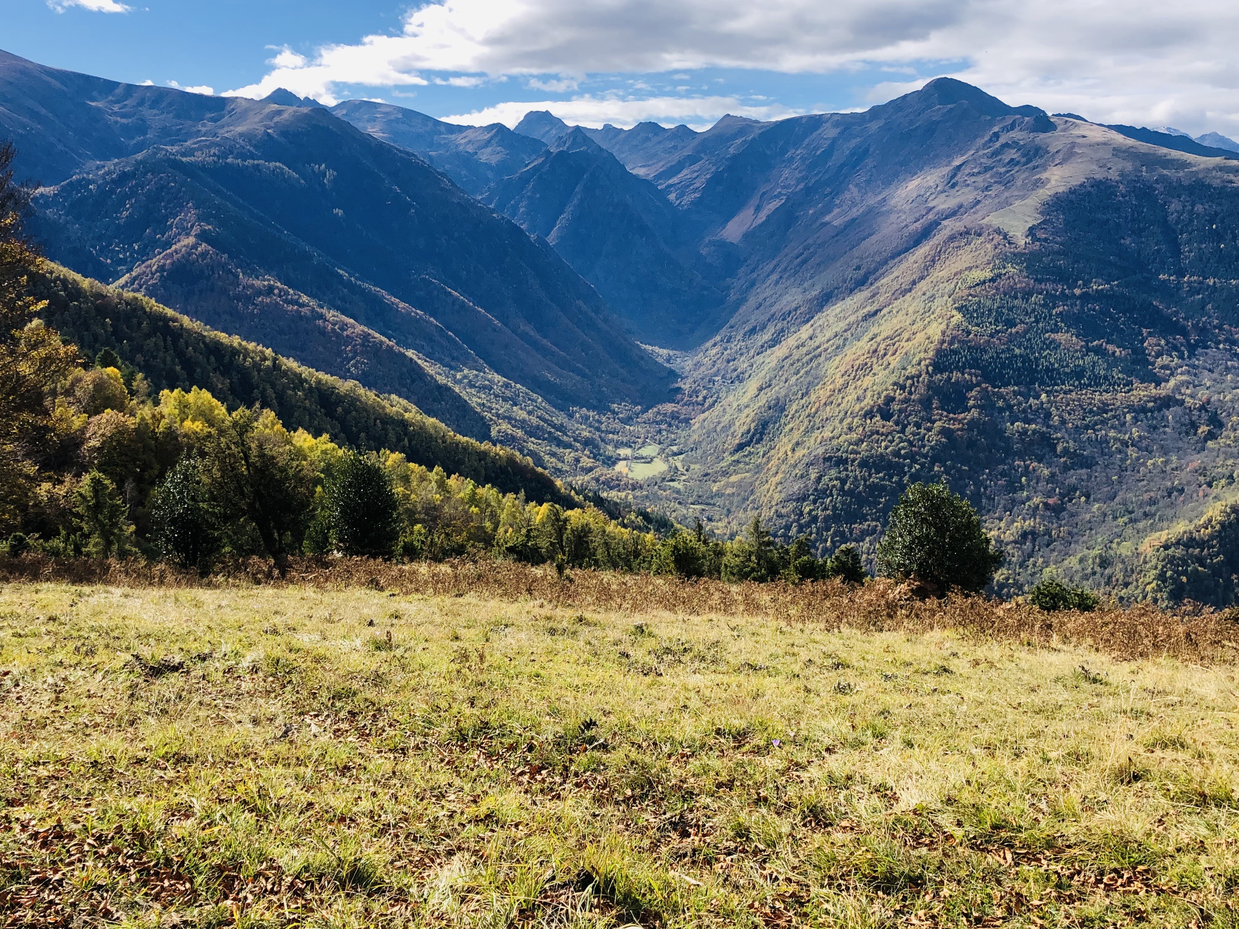 Paysage d'automne